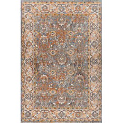 Traditional Area Rugs by Tayse Rugs