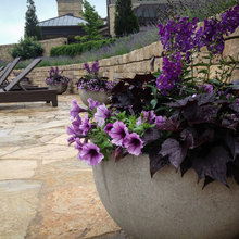 Flower Pot Ideas