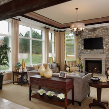 gray & tan interoirs