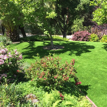 Artificial Turf Front Yard Lawn and Paver Entry Walkway Atherton CA