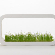Office Decoration
