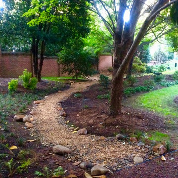 Woodland Garden Makeover