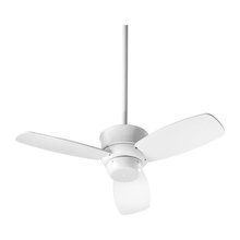 Ceiling Fans