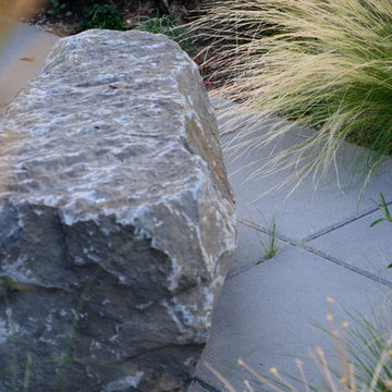 Garden Drive front yard