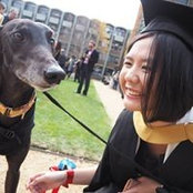 Doris Huang's photo