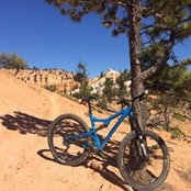 Sharel Hutchison's photo