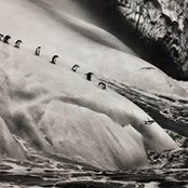 Photo de Stella Castroni