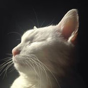 Kristin Tieche's photo