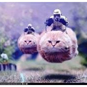 Sebas Ro's photo