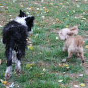Sarah Marceau's photo