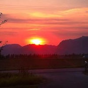 John Jongema's photo