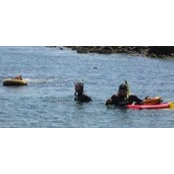Marc Knittel's photo