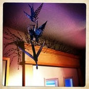 Aaron Scothorn's photo