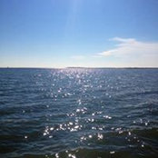 Tiffany N. Sodolak's photo