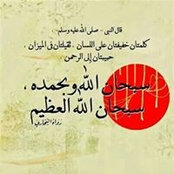 أسد الصحراء's photo