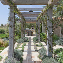 trellis lighting