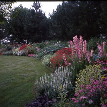 WesternSprings - Back Landscaping
