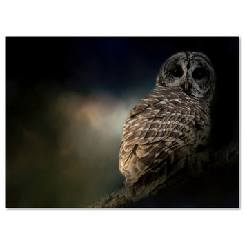 Jai Johnson 'Barred Owl On A Winter Night' Canvas Art, 24 x 18