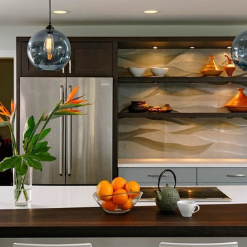 Contemporary Kitchen Cabinets Design Remodel