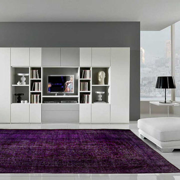 Contemporary Living Room: Over Dyed Rug