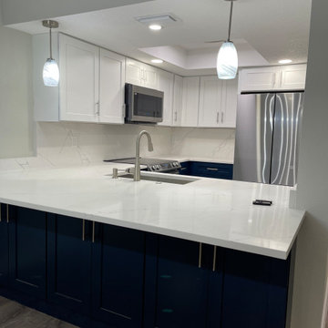 Full Condo Reconstruction - Central