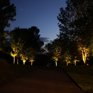 Outdoor Lighting