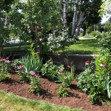 No Frills Yard Transformed into Multi-Level Oasis