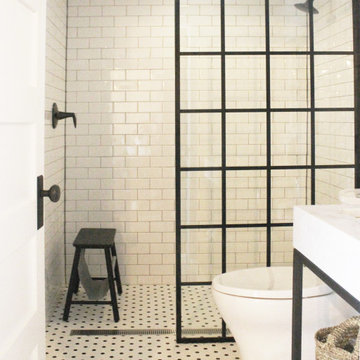 Philly Basement Bathroom