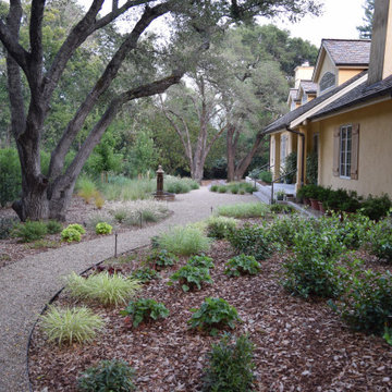 Movement in the landscape: ornamental grasses