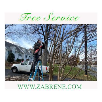 Tree Service