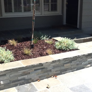 Front Yard Update