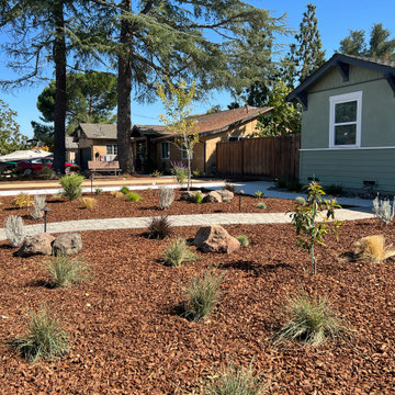 Neighbors Combine Front Yards (Bocce Ball Court and Low-Maintenance Landscape)