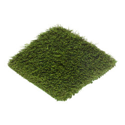 SYNFescue 214 - Outdoor Products