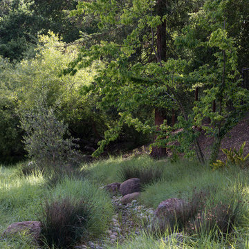 Los Altos Hills