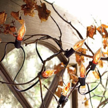 FALL