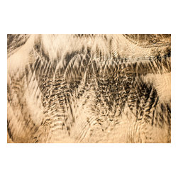 Douglas Page Photographic Arts - Sandprints Designer Series No.24, 18"x12" - Photographs