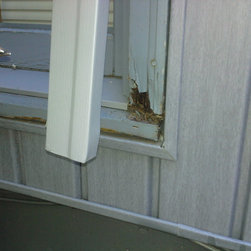 Overland Park Window Replacement II - Windows