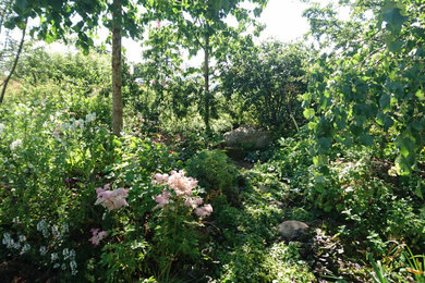Ejemplo de camino de jardín rústico pequeño en patio trasero con jardín francés y exposición total al sol