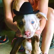 Holly Noland's photo