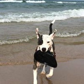 Heather Humm's photo