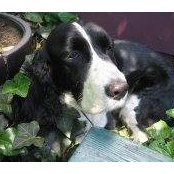 Anne Caughey's photo