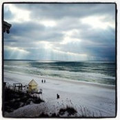 Deb Sanland's photo