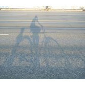 Fred Cruz's photo