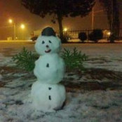 Roxana Arcalean's photo
