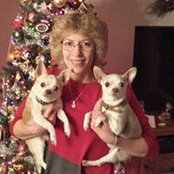 Stephanie McHugh's photo