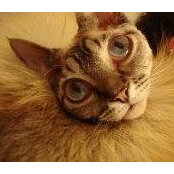 Gerardo Reyna's photo