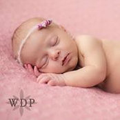 Jennifer Sheets's photo