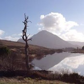 Deborah Bird's photo