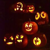 Amy Gustafson's photo