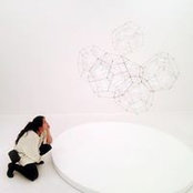 Ping Wang's photo
